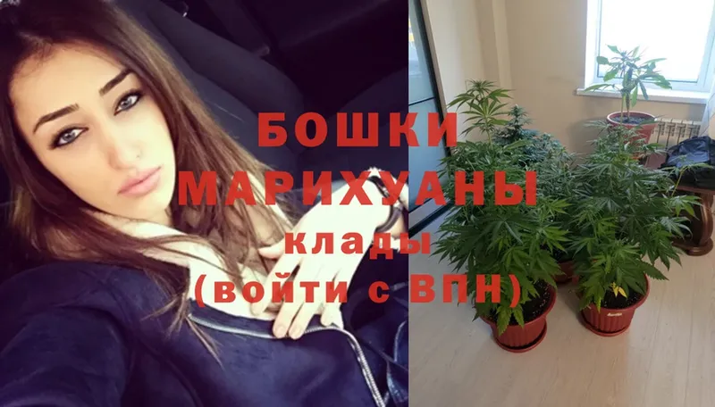 кракен рабочий сайт  Бабаево  Бошки марихуана White Widow 